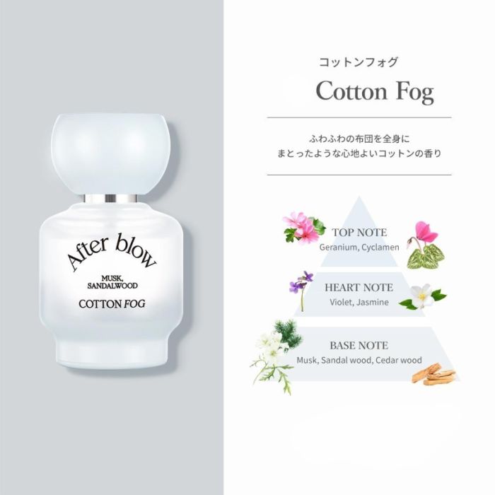 Shop Japanese and Korean Skincare and Makeup Online | After Blow