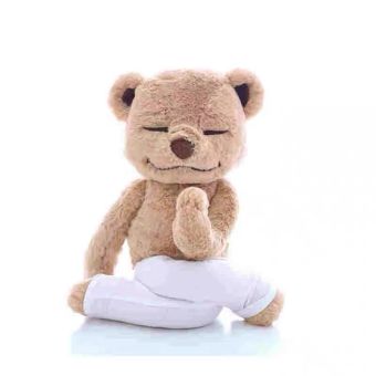 Yoga Bear