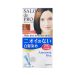 DARIYA Salon Hair Color #3 Bright Brown