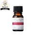 Tunemakers Witch Hazel Extract 10mL